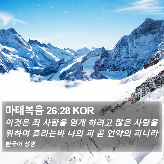 마태복음 26:28 KOR Bible Study