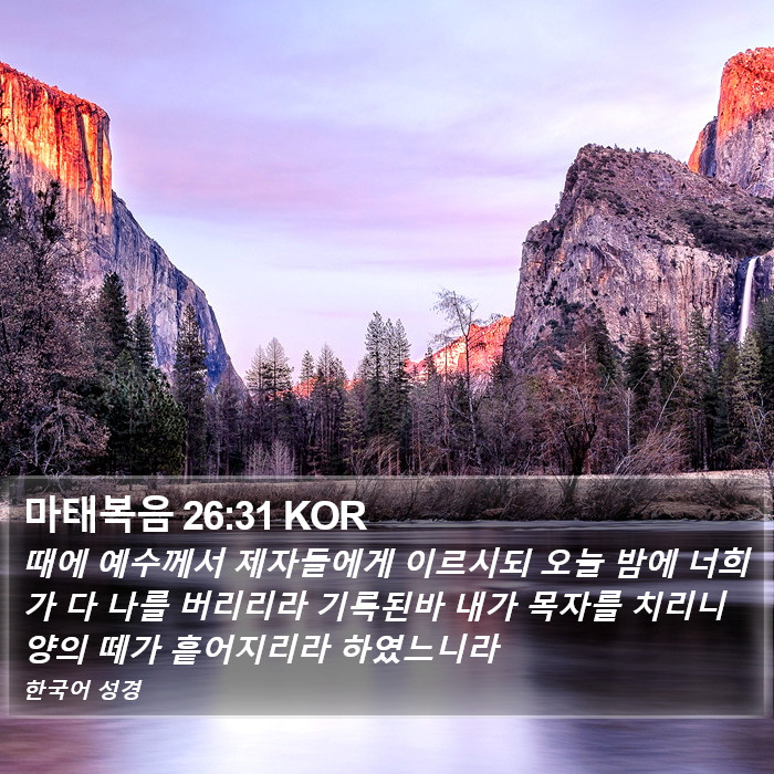 마태복음 26:31 KOR Bible Study