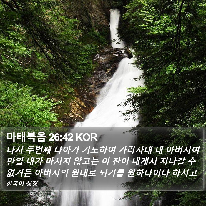 마태복음 26:42 KOR Bible Study
