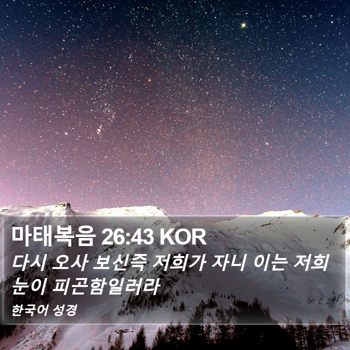 마태복음 26:43 KOR Bible Study