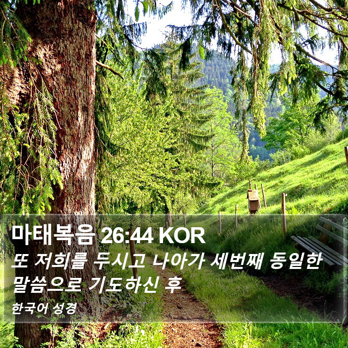 마태복음 26:44 KOR Bible Study