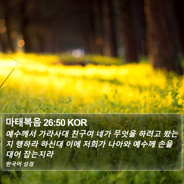 마태복음 26:50 KOR Bible Study