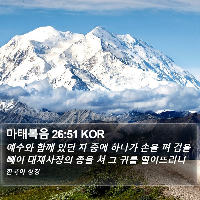 마태복음 26:51 KOR Bible Study