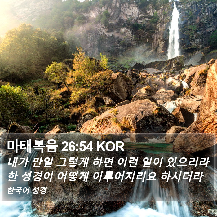 마태복음 26:54 KOR Bible Study