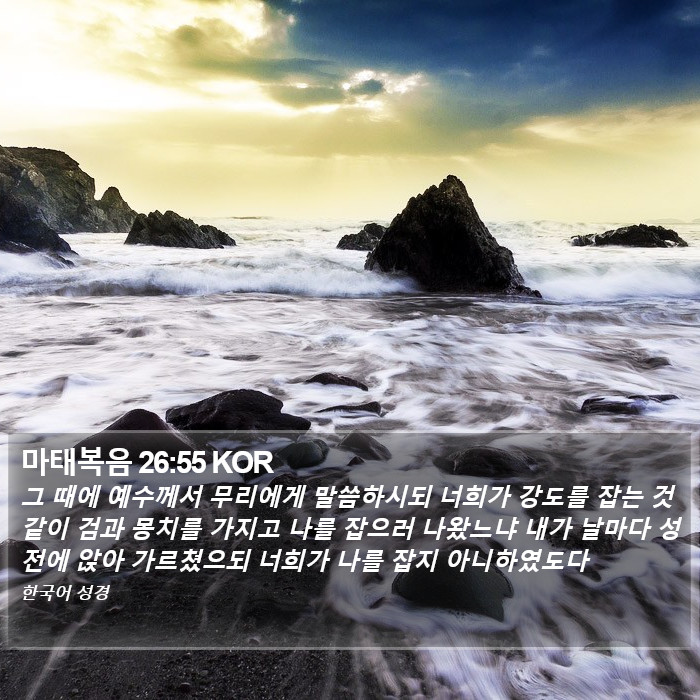 마태복음 26:55 KOR Bible Study