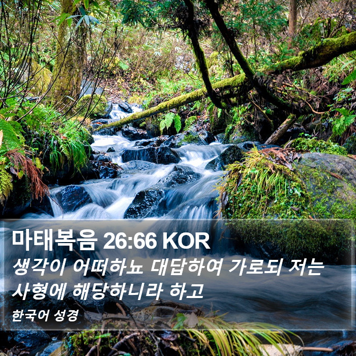 마태복음 26:66 KOR Bible Study