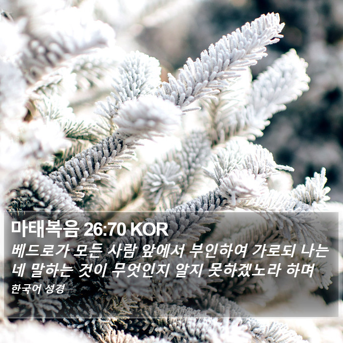 마태복음 26:70 KOR Bible Study