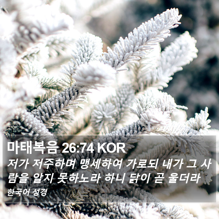 마태복음 26:74 KOR Bible Study
