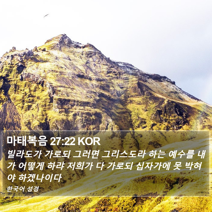 마태복음 27:22 KOR Bible Study