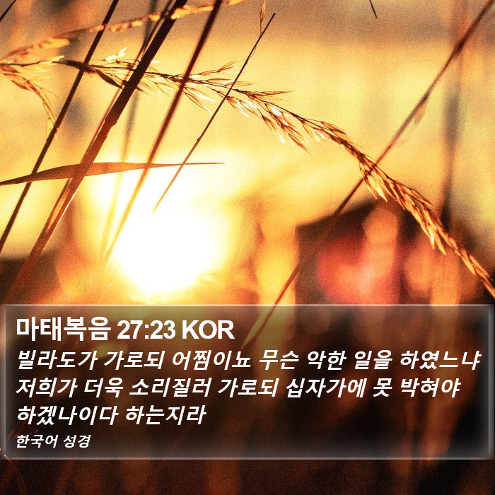 마태복음 27:23 KOR Bible Study