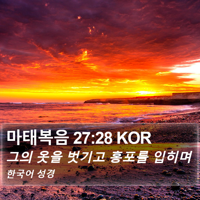 마태복음 27:28 KOR Bible Study