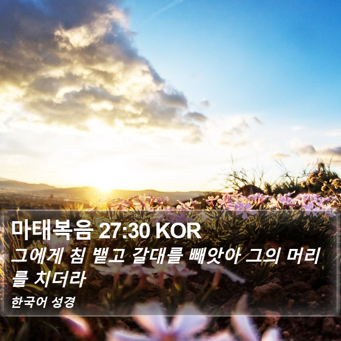 마태복음 27:30 KOR Bible Study