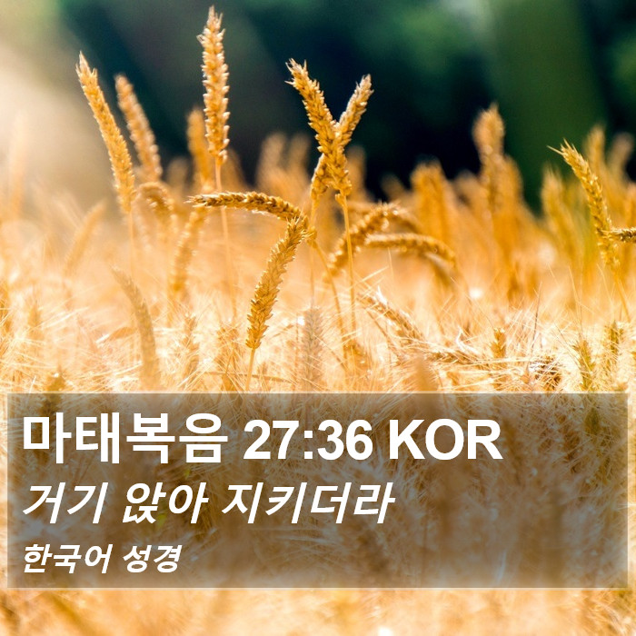 마태복음 27:36 KOR Bible Study