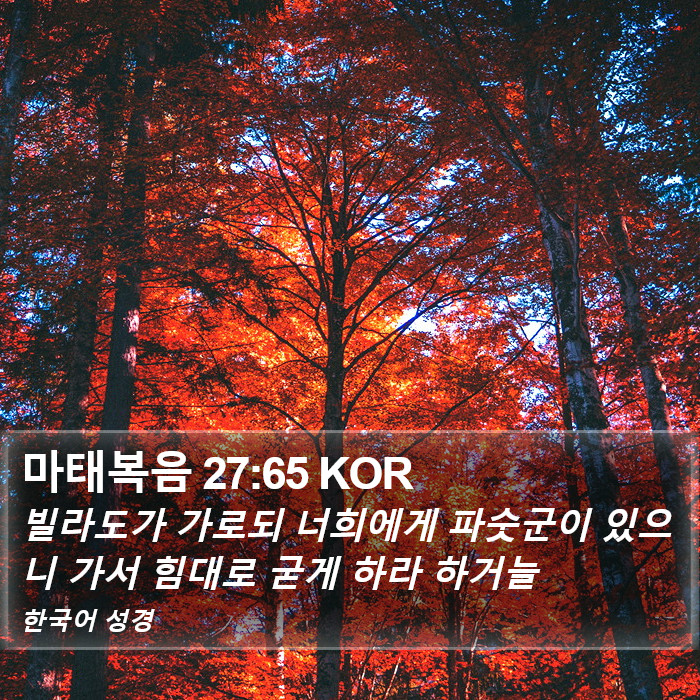 마태복음 27:65 KOR Bible Study