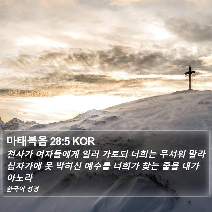 마태복음 28:5 KOR Bible Study