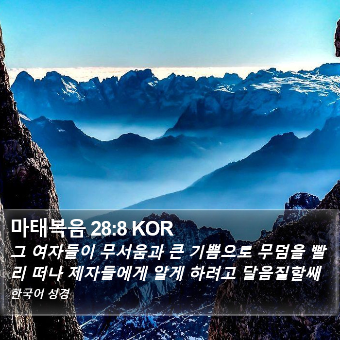 마태복음 28:8 KOR Bible Study