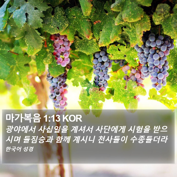 마가복음 1:13 KOR Bible Study