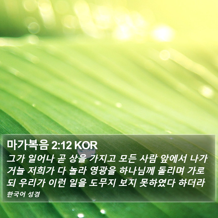 마가복음 2:12 KOR Bible Study