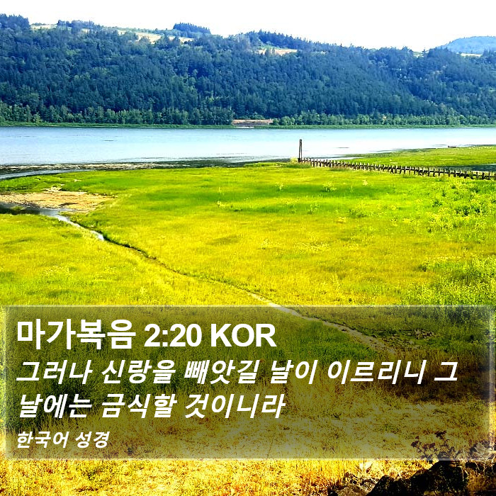 마가복음 2:20 KOR Bible Study