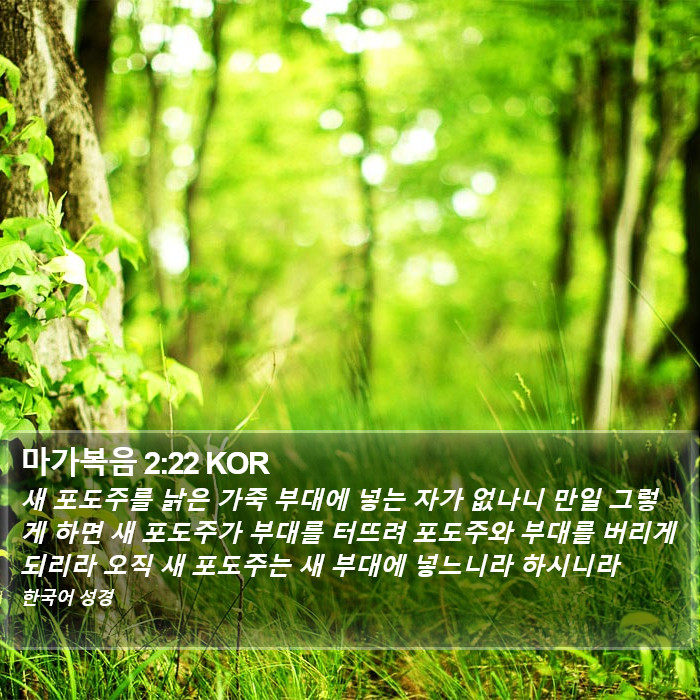 마가복음 2:22 KOR Bible Study