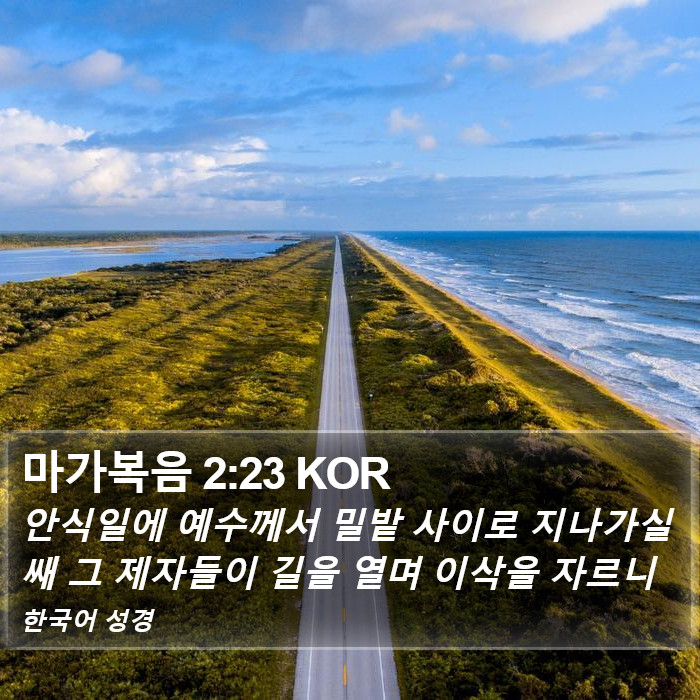 마가복음 2:23 KOR Bible Study