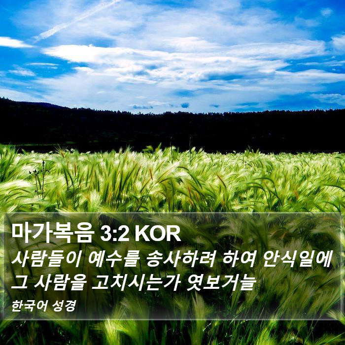 마가복음 3:2 KOR Bible Study