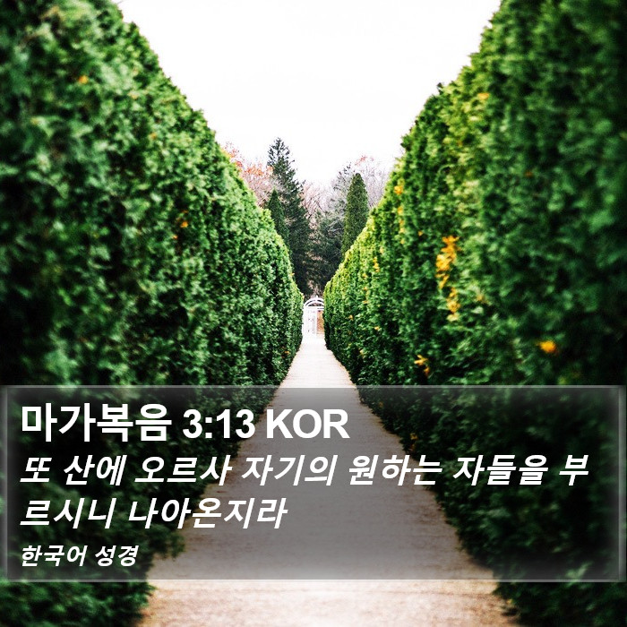 마가복음 3:13 KOR Bible Study