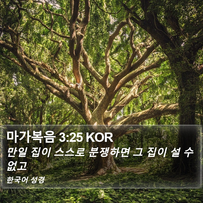 마가복음 3:25 KOR Bible Study