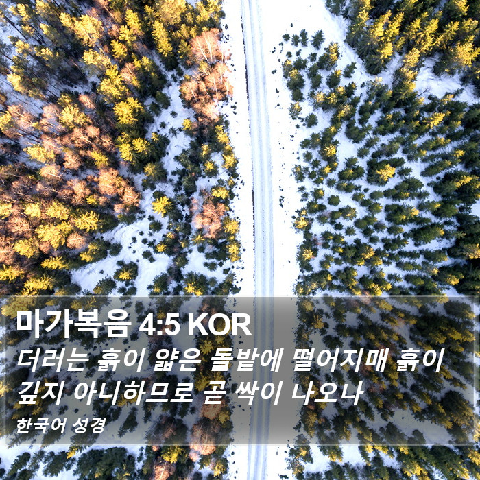 마가복음 4:5 KOR Bible Study