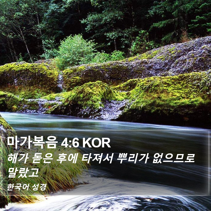 마가복음 4:6 KOR Bible Study