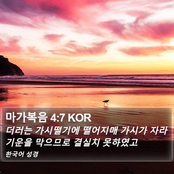 마가복음 4:7 KOR Bible Study