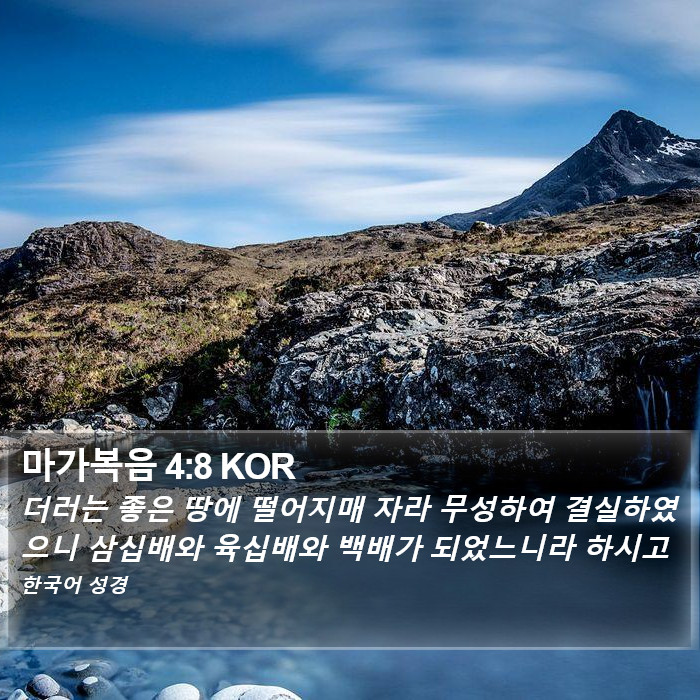 마가복음 4:8 KOR Bible Study