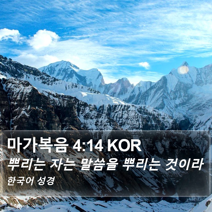 마가복음 4:14 KOR Bible Study