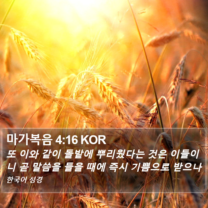 마가복음 4:16 KOR Bible Study