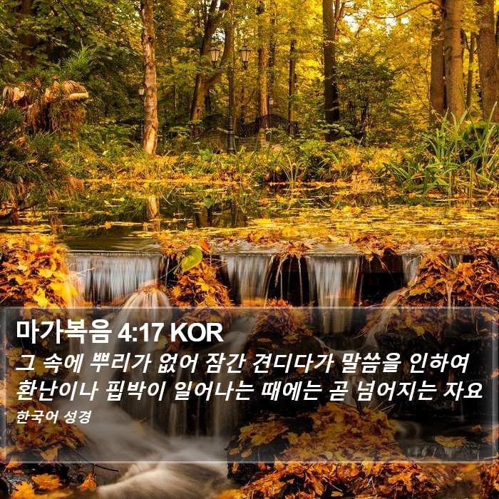 마가복음 4:17 KOR Bible Study