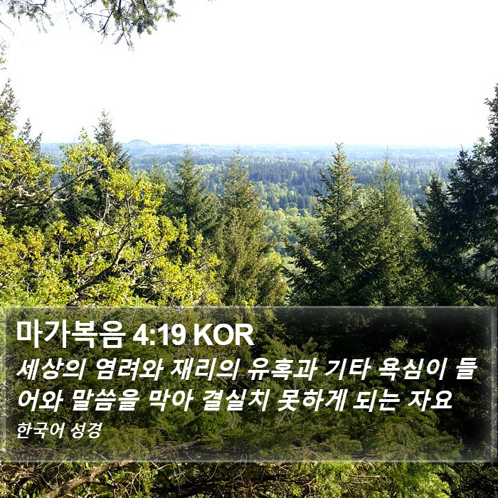 마가복음 4:19 KOR Bible Study