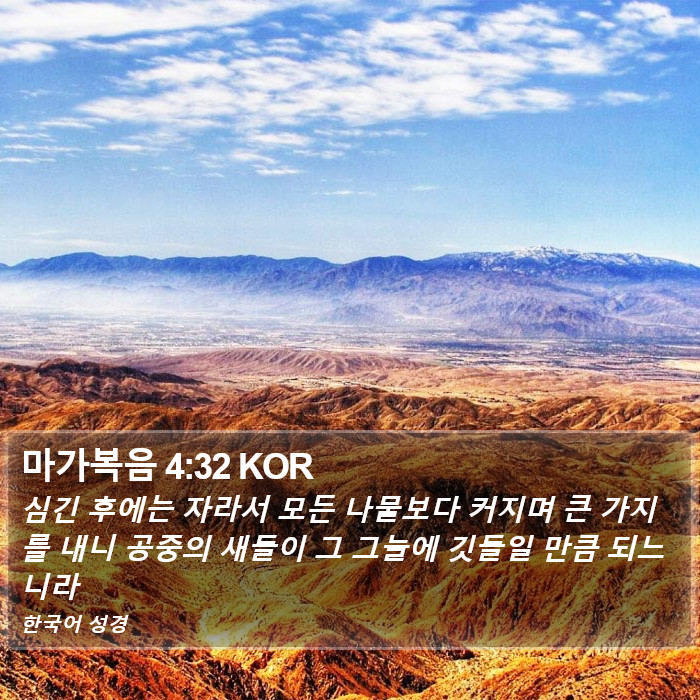 마가복음 4:32 KOR Bible Study