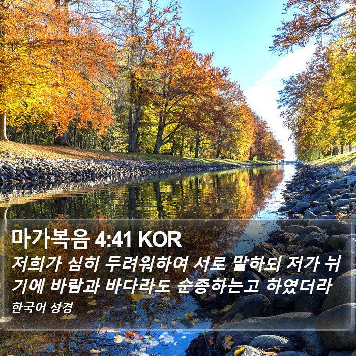 마가복음 4:41 KOR Bible Study