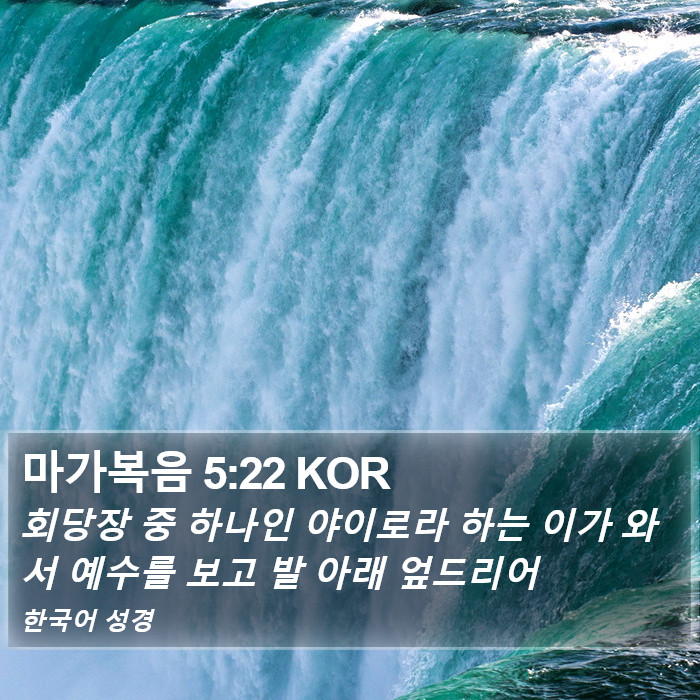 마가복음 5:22 KOR Bible Study