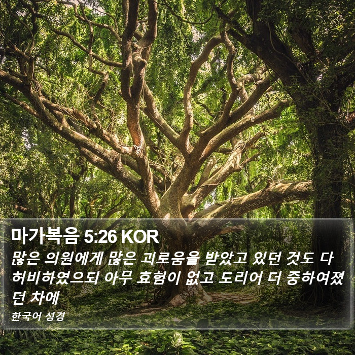 마가복음 5:26 KOR Bible Study