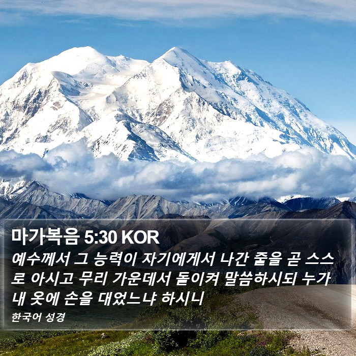 마가복음 5:30 KOR Bible Study