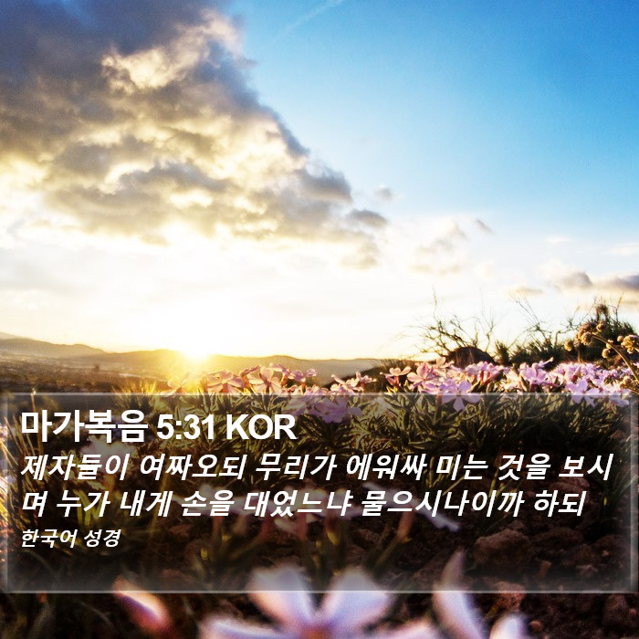 마가복음 5:31 KOR Bible Study