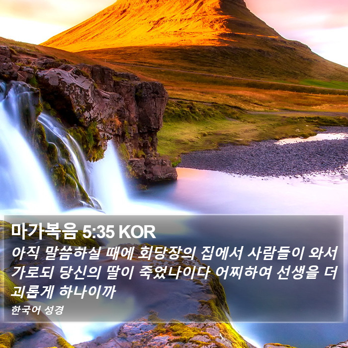 마가복음 5:35 KOR Bible Study