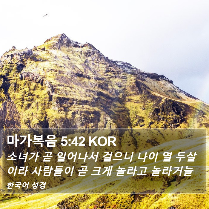 마가복음 5:42 KOR Bible Study