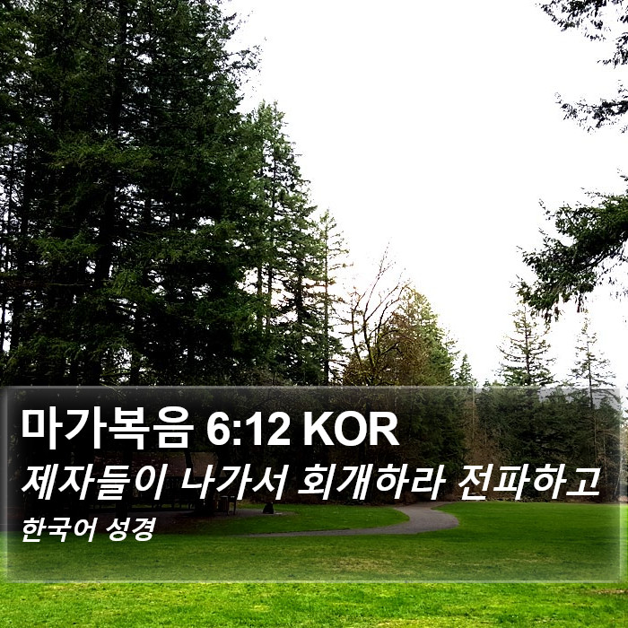 마가복음 6:12 KOR Bible Study