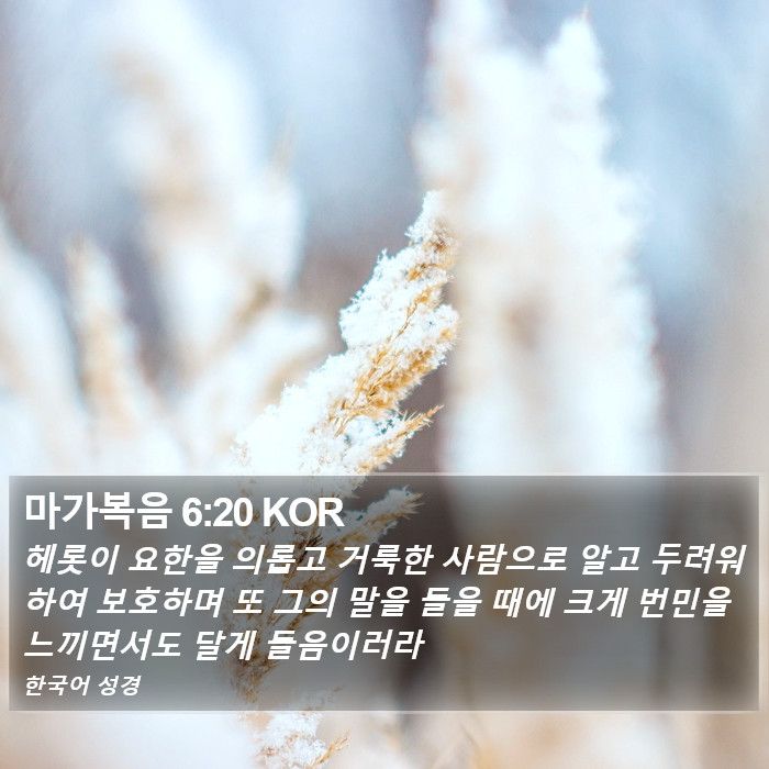 마가복음 6:20 KOR Bible Study