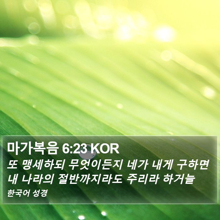 마가복음 6:23 KOR Bible Study