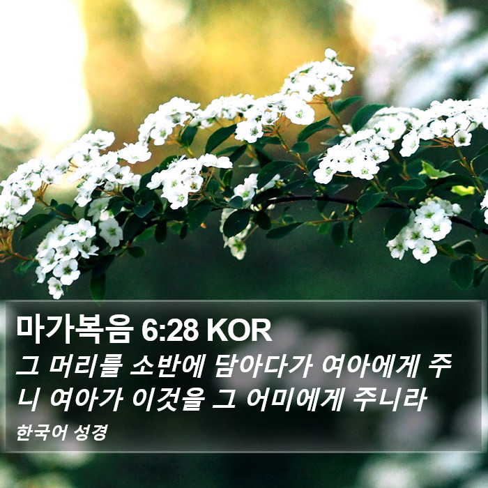 마가복음 6:28 KOR Bible Study