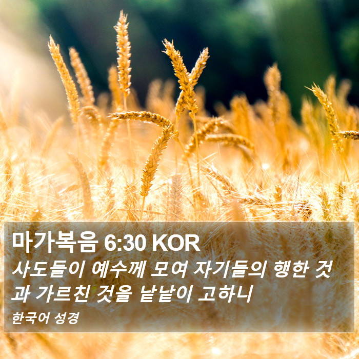 마가복음 6:30 KOR Bible Study