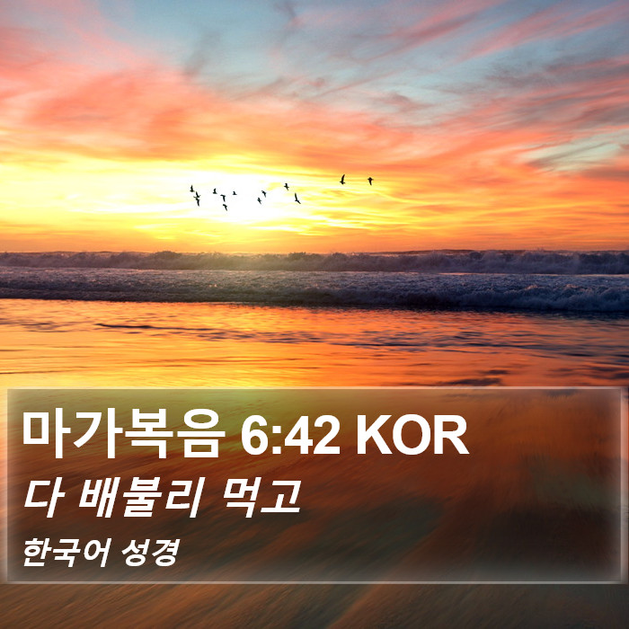 마가복음 6:42 KOR Bible Study